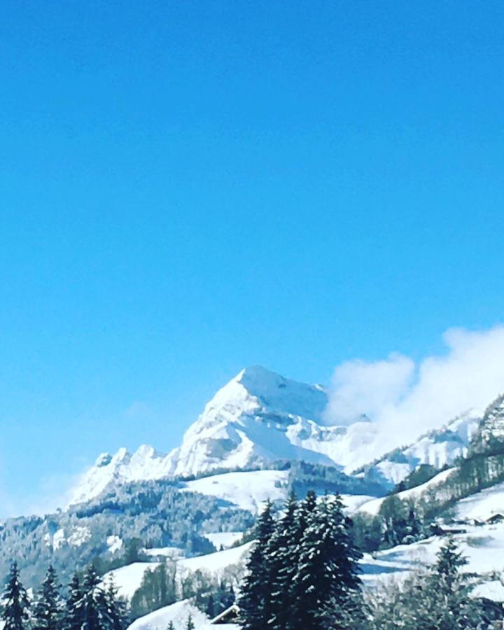 Apartamento Studio PRAZ SUR ARLY Exterior foto